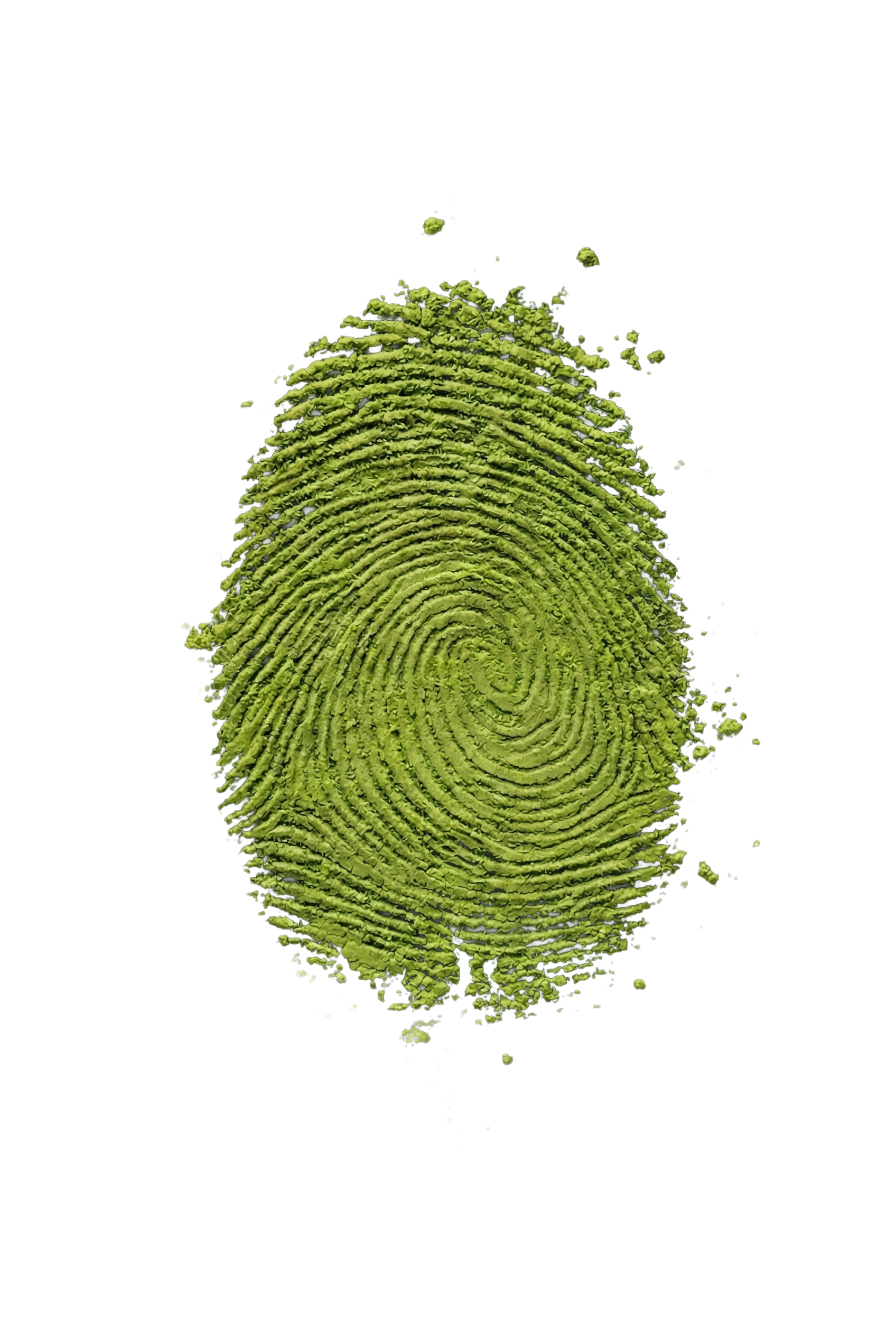 Upgrade Your Matcha - Urasense Ceremonial Grade Matcha